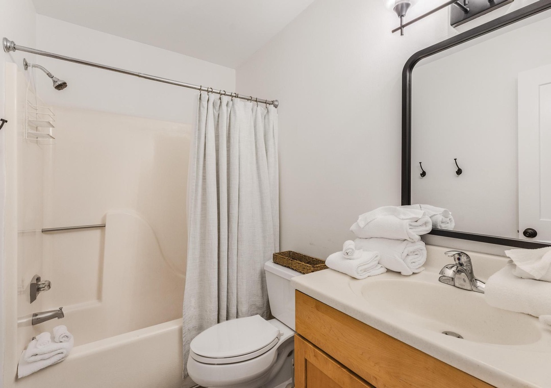 Guest bathroom