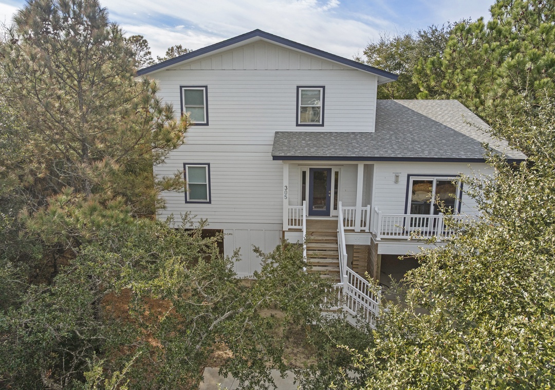 SH305: Wax Turtle | Front Exterior