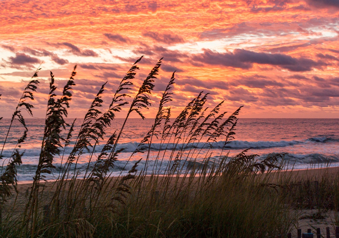 Corolla Beach