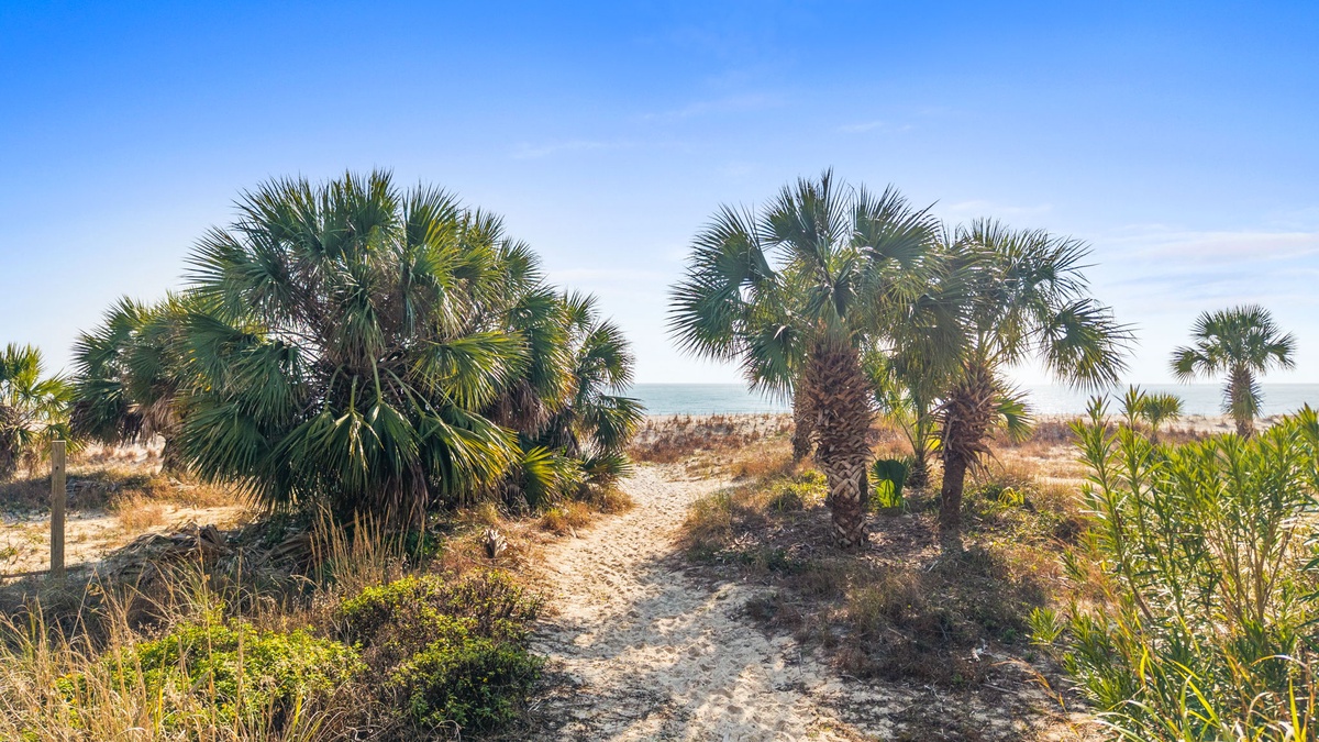 Tropical palm trees frame a sandy path leading toward pristine coastal waters under brilliant blue skies.