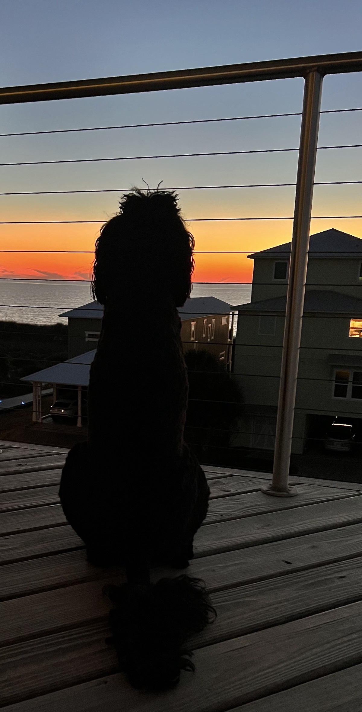 thumbnail_A085AACC-7972-44F5-B789-2B5512B5BE64IMG_2872