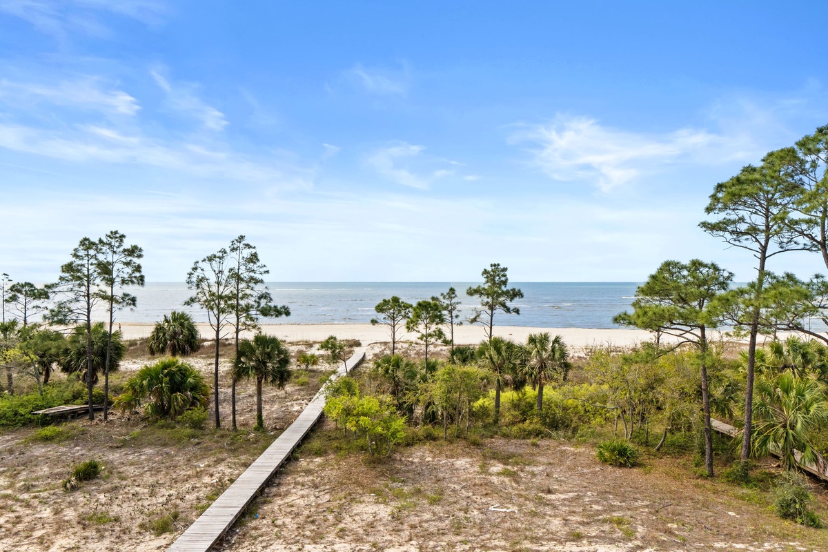 Pristine coastal landscape with sandy beach, wooden boardwalk, and native vegetation under bright blue skies.