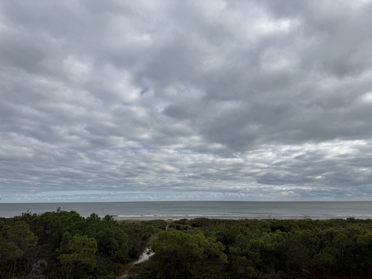 Dramatic cloudy skies stretch over coastal landscape with dense forest leading to ocean shoreline.