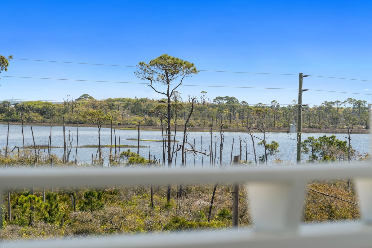 Tranquil lake view with native trees and clear blue skies, showcasing the peaceful natural surroundings of the area.