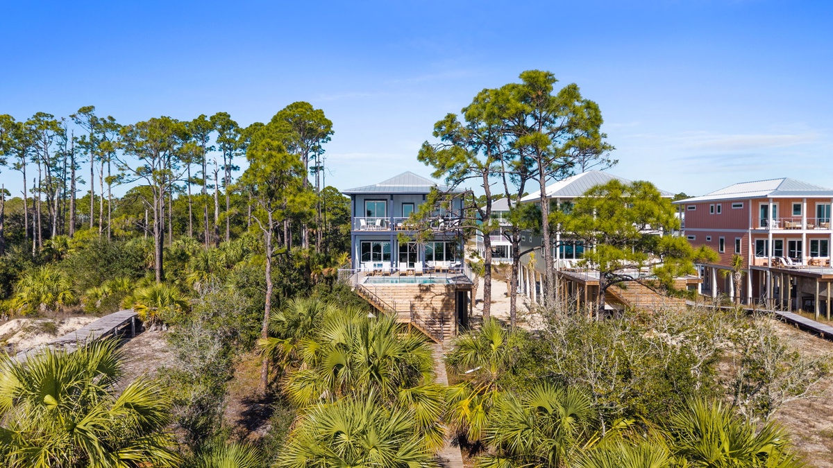 Coastal vacation homes nestled among towering pines and palm trees, offering a serene beachside retreat with elevated views and natural surroundings.