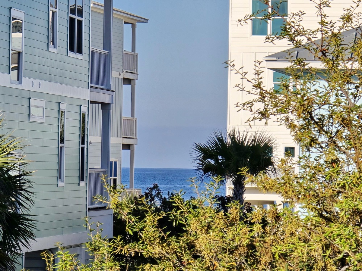 Coastal residential buildings surrounded by lush tropical landscaping with glimpses of the ocean beyond the palm trees and greenery.