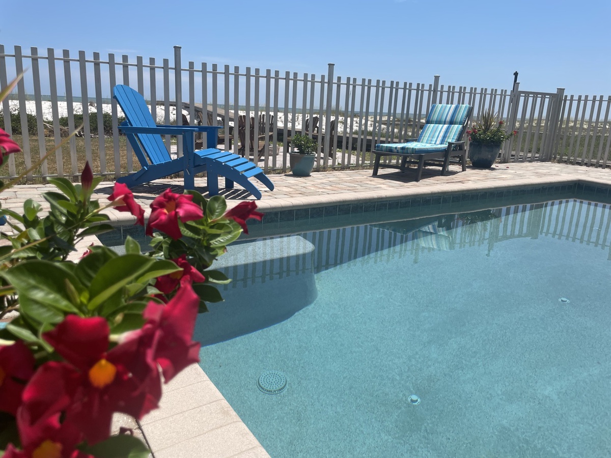 Your private pool oasis awaits with comfortable loungers and vibrant blooms creating the perfect spot to soak up the sun.