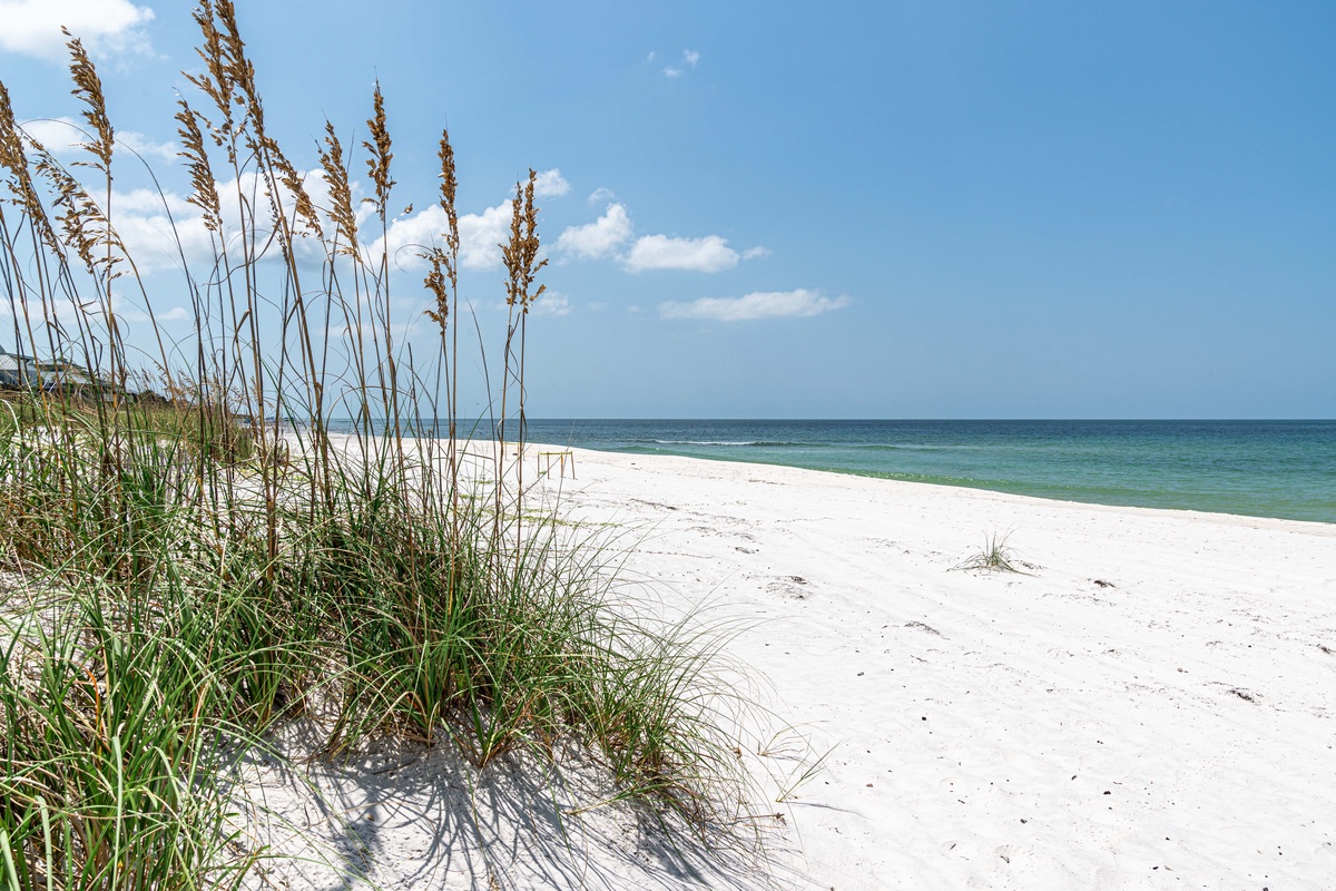 Pristine white sand beach stretches endlessly along turquoise waters, framed by natural sea oats swaying in the coastal breeze.