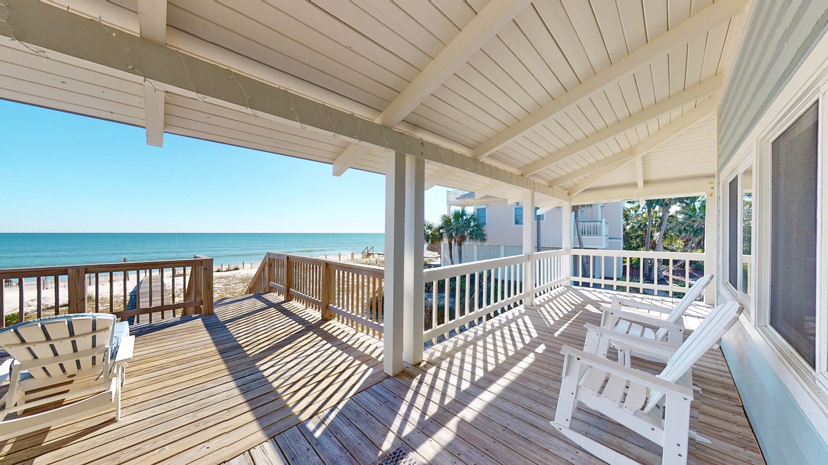 Porpoise-In-Mind-02092022_151640