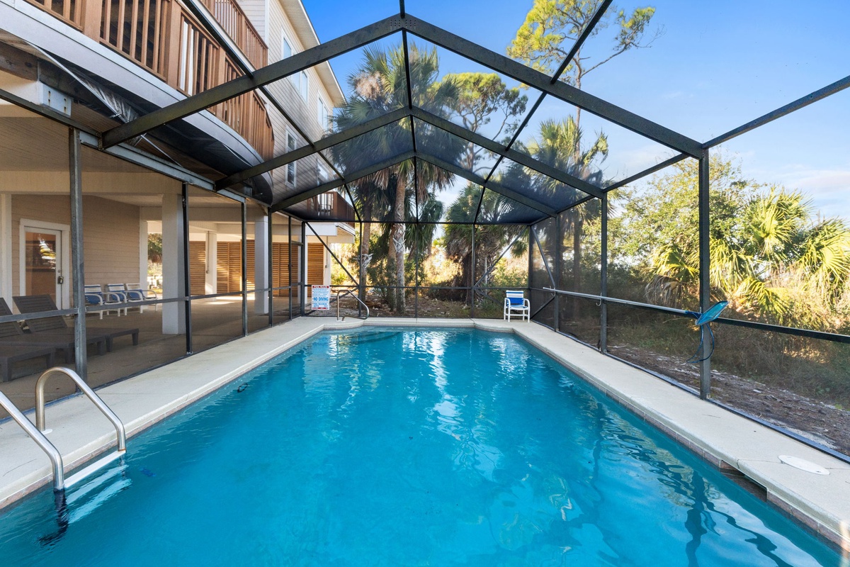Your private screened pool sparkles under Florida sunshine, surrounded by lush tropical palms for the perfect swimming escape.