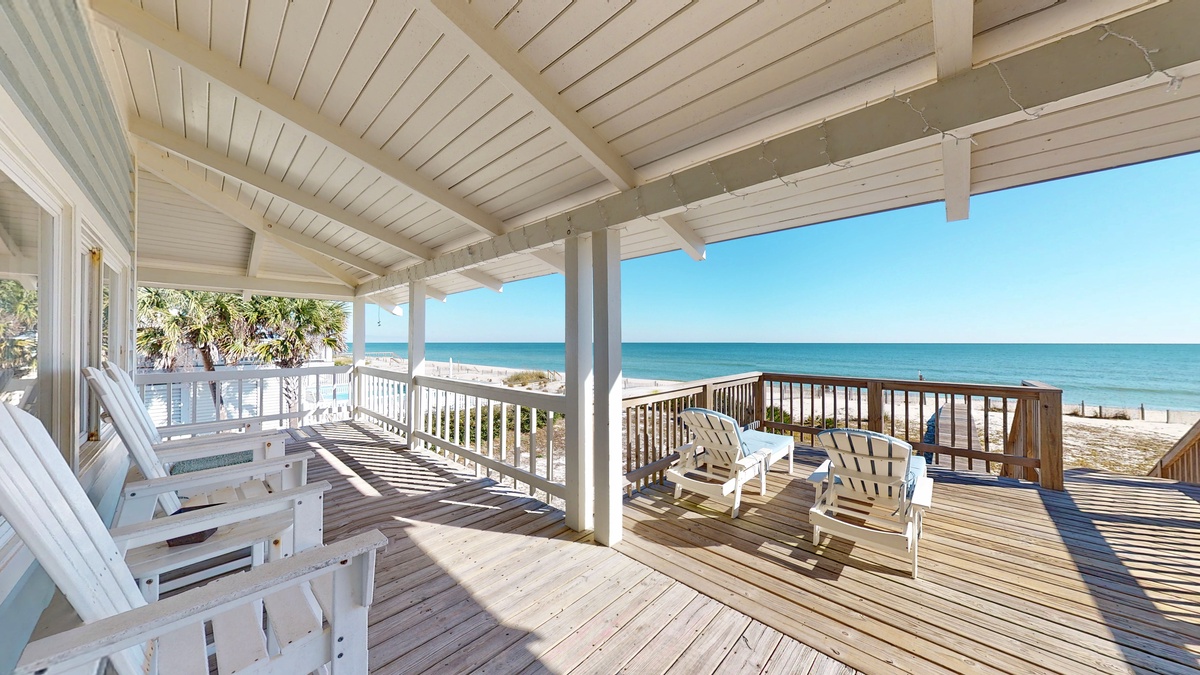 Porpoise-In-Mind-02092022_151630