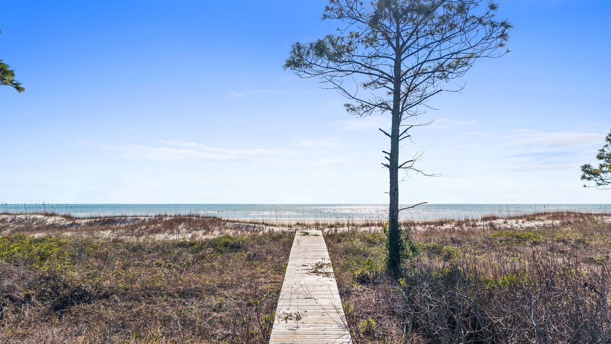 Wooden boardwalk leads through coastal dunes to pristine beachfront under clear blue skies.