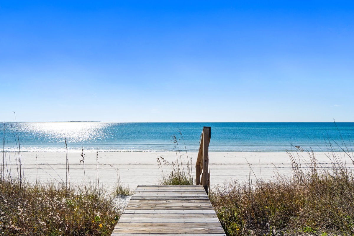 8-web-or-mls-FDP01707