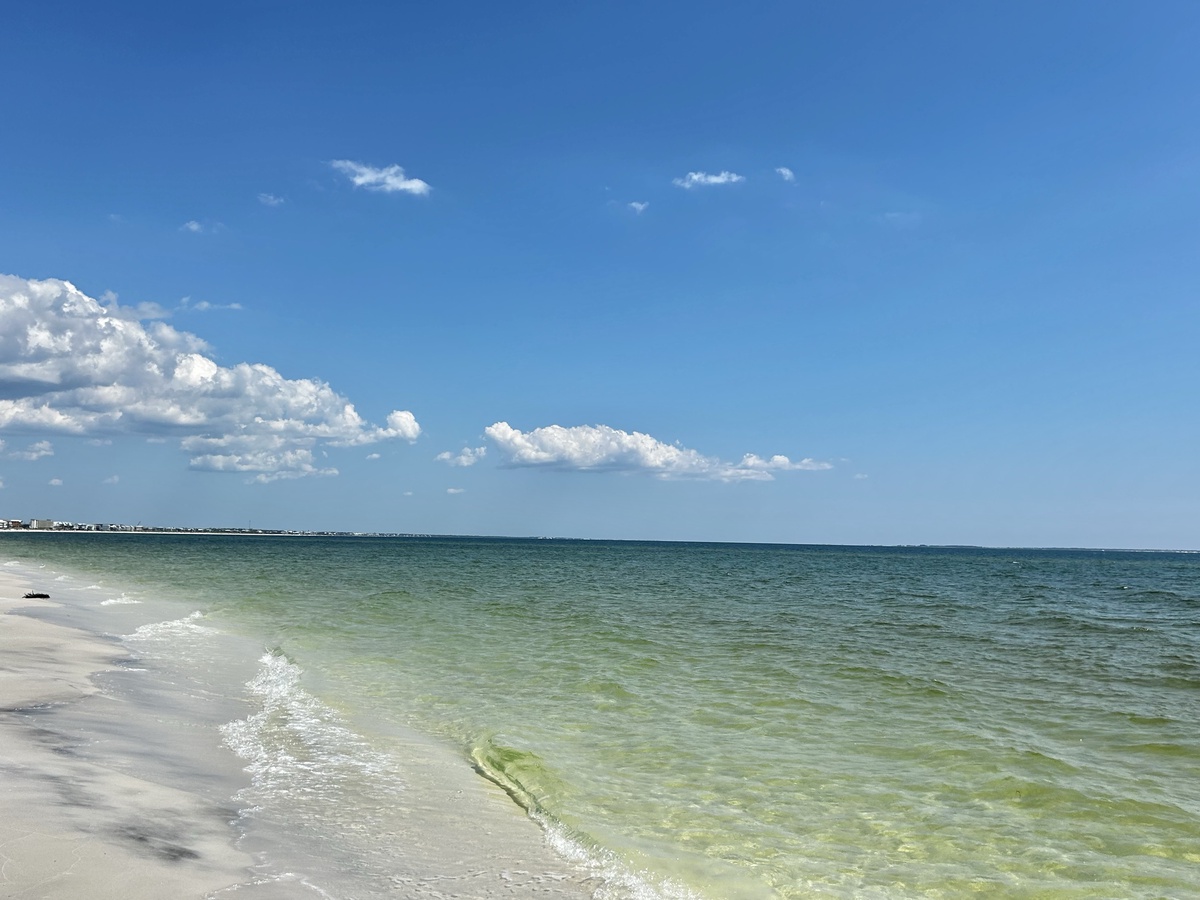 Image - 2024-08-25T171616.846