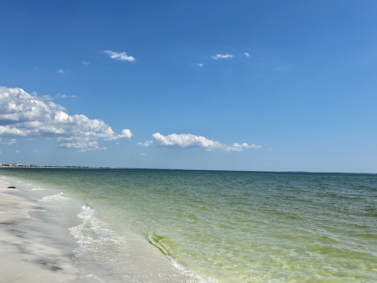 Image - 2024-08-25T170134.028