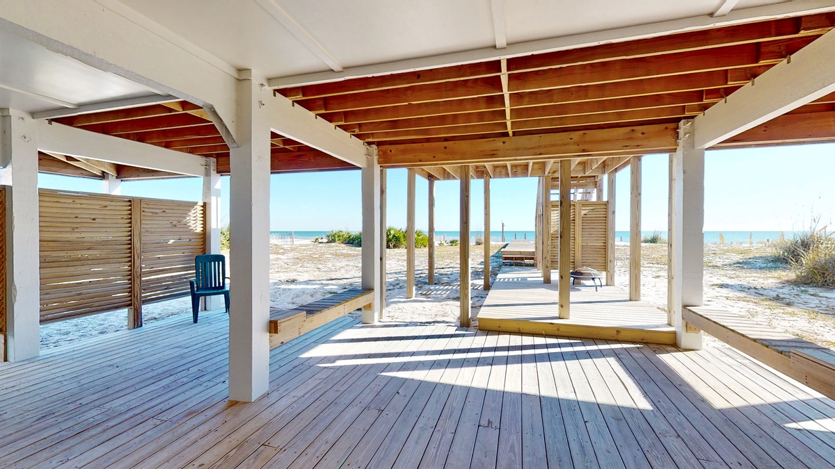 Porpoise-In-Mind-02092022_152015