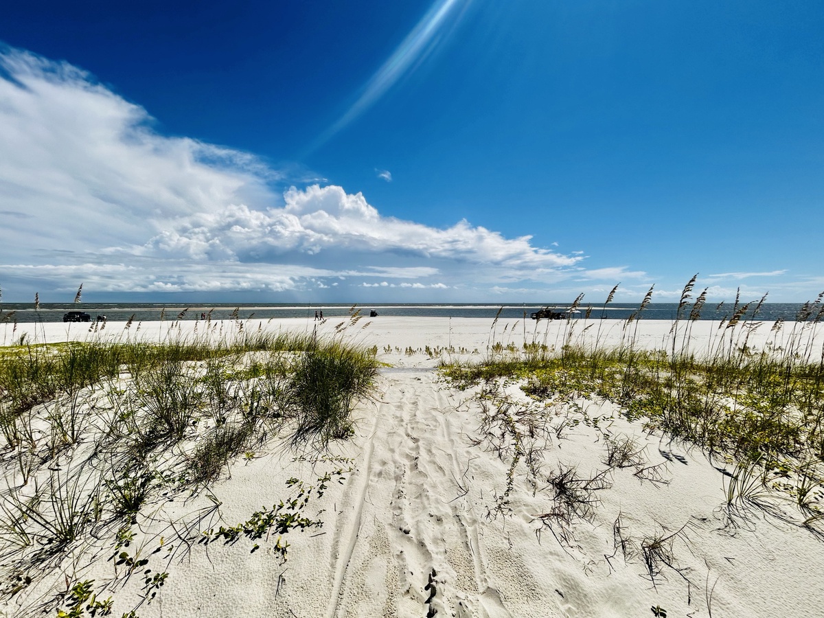 Image - 2024-08-26T113613.948