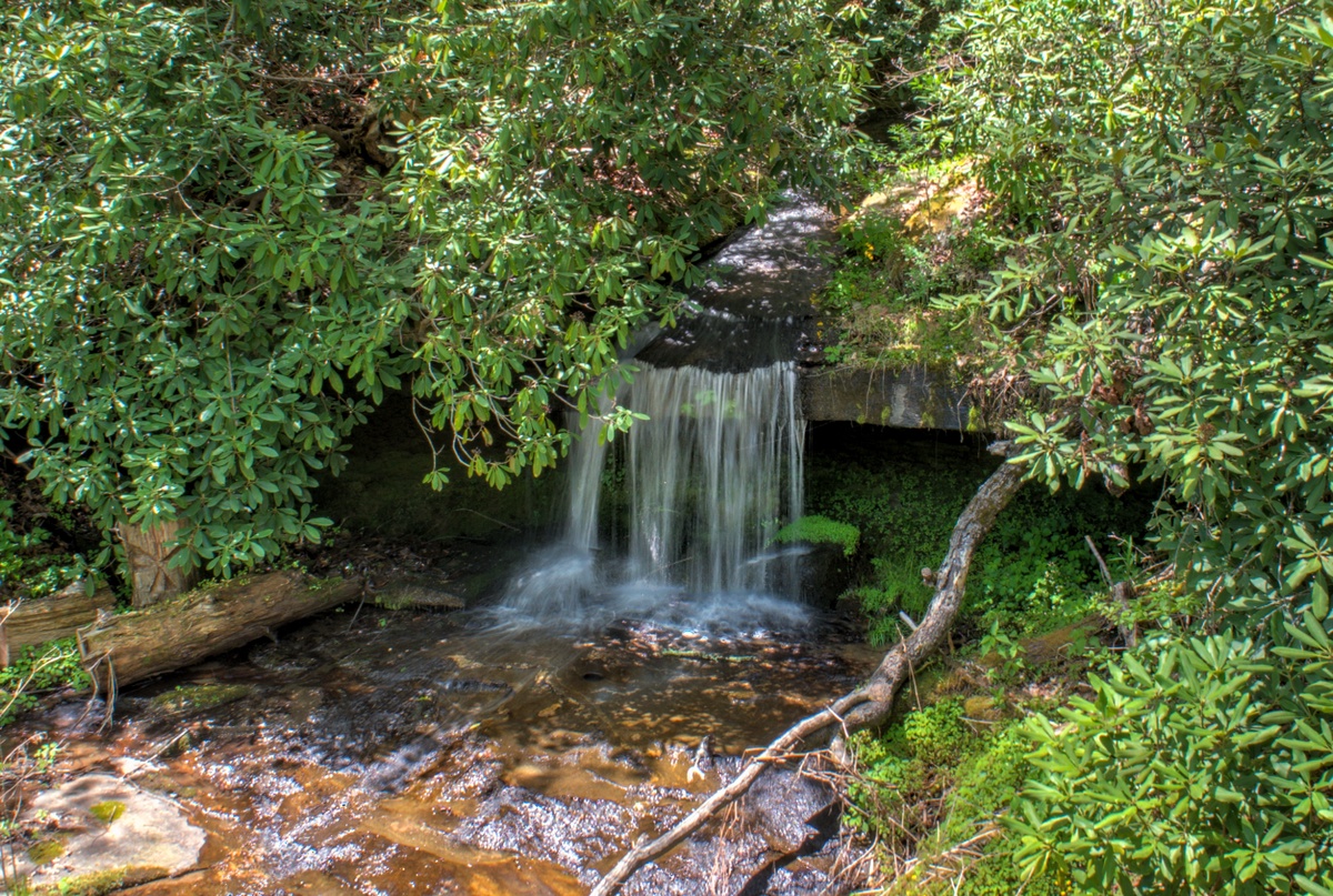 Private Waterfall at Neighboring Property