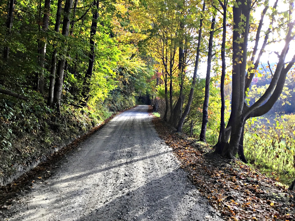 Private Mountain Lane to Lone Pine Lodge