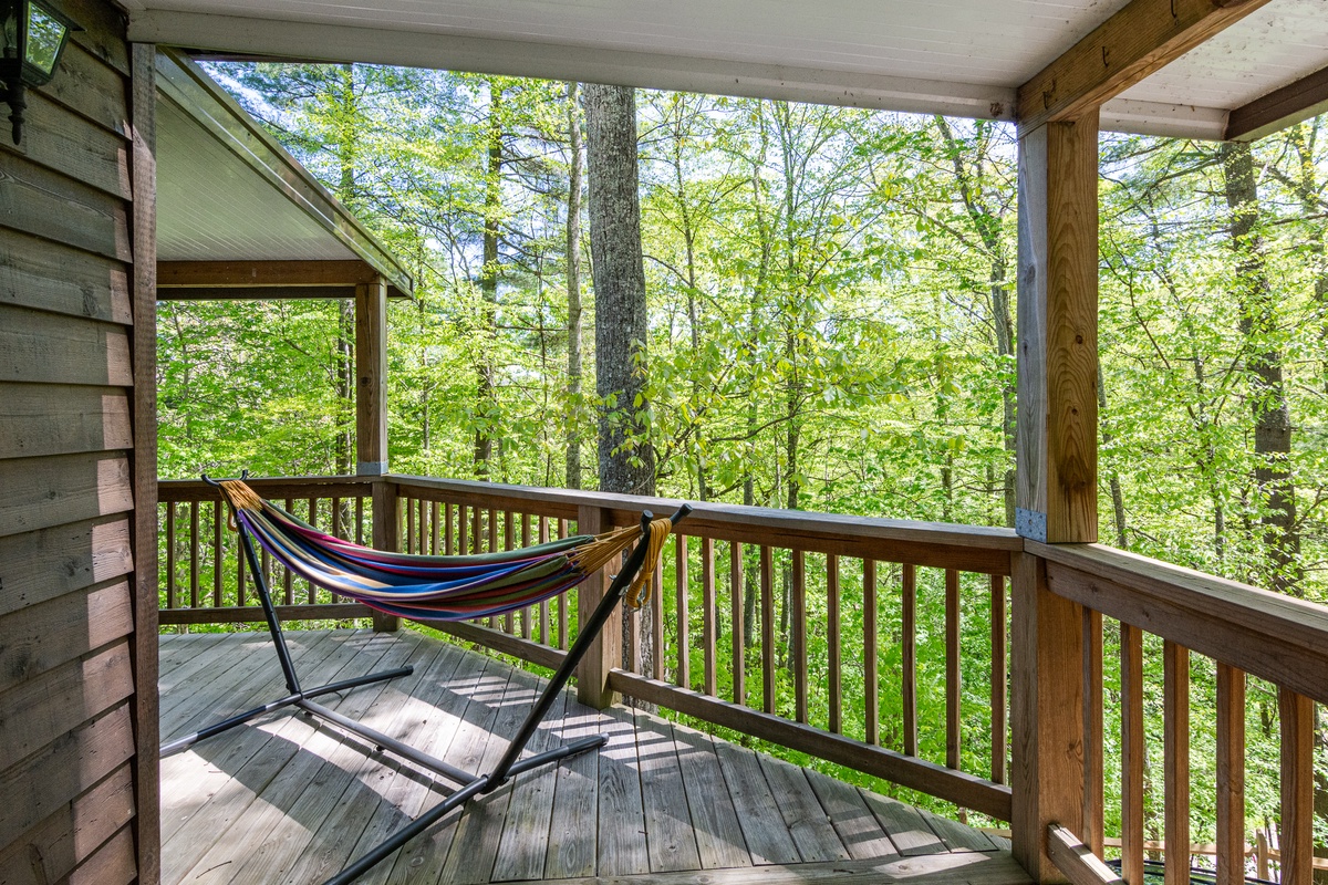 Enjoy Peaceful Wooded Surroundings from the Hammock