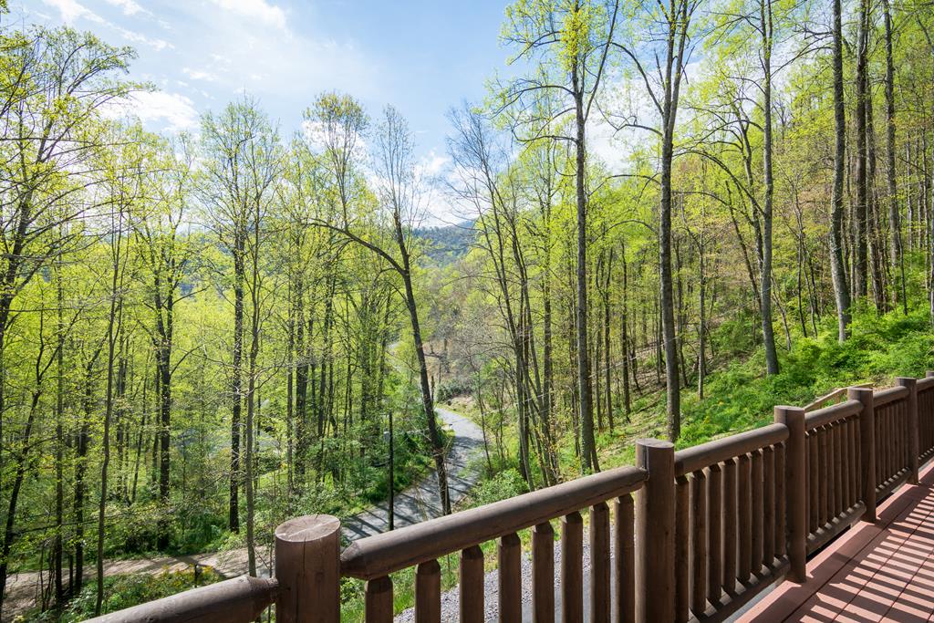 Seasonal Mountain Views & Wooded Surroundings