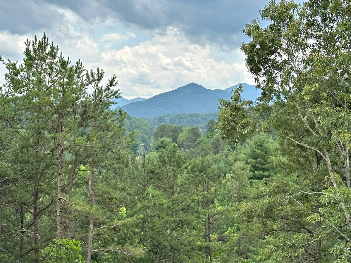 Dreamy Mountain Views