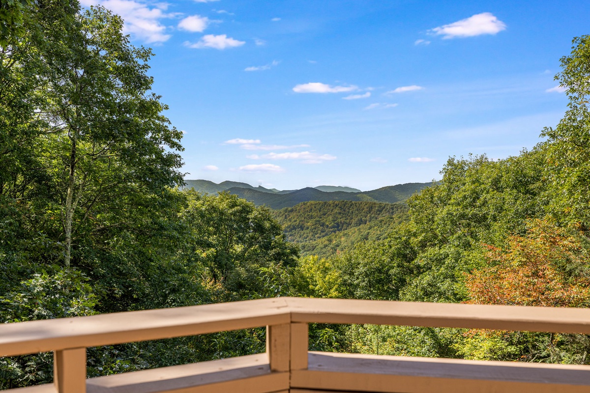 Gaze From the Deck