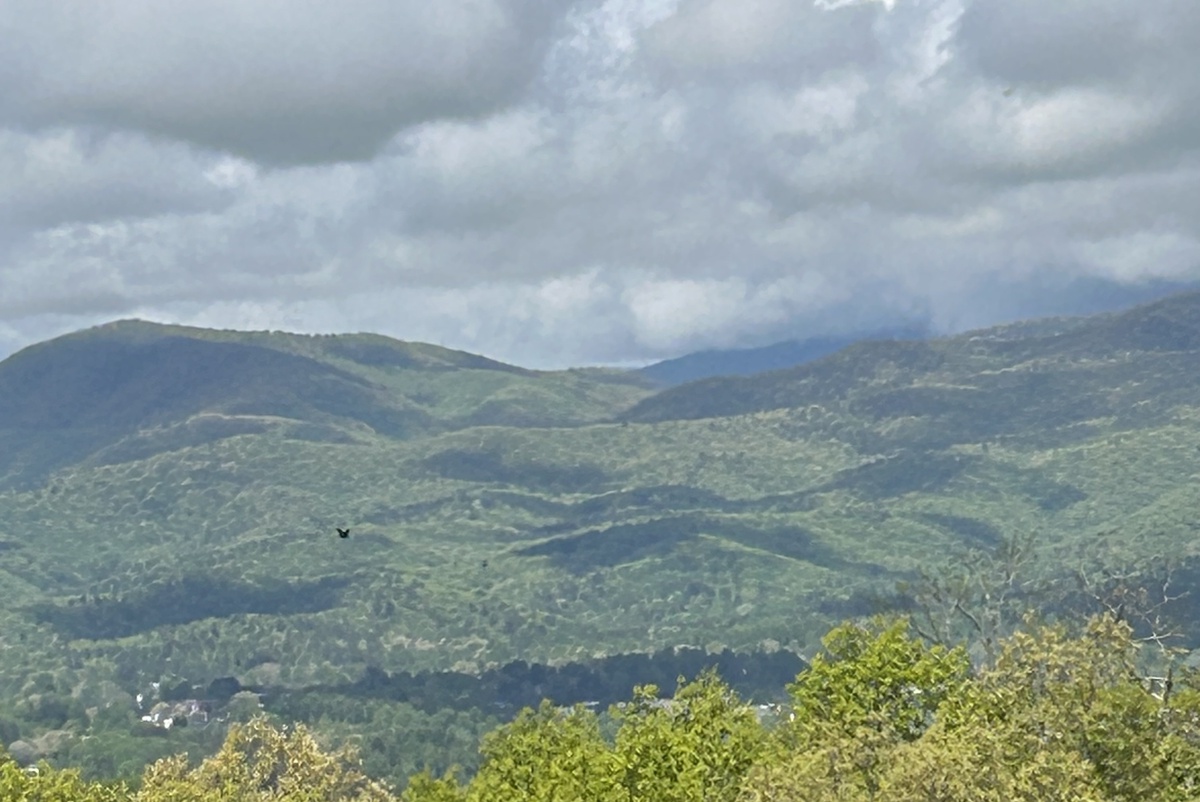 Mountain Views From the Cottage at Boulder Ridge