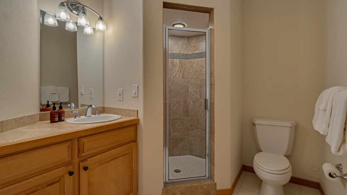 Lower level bathroom