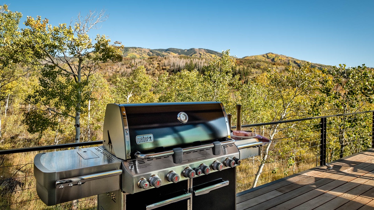 Balcony, Main Level - Gas grill