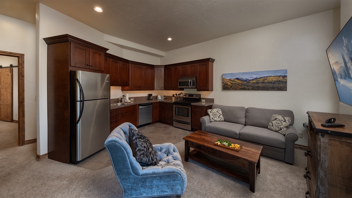Guest Apartment living room and kitchen