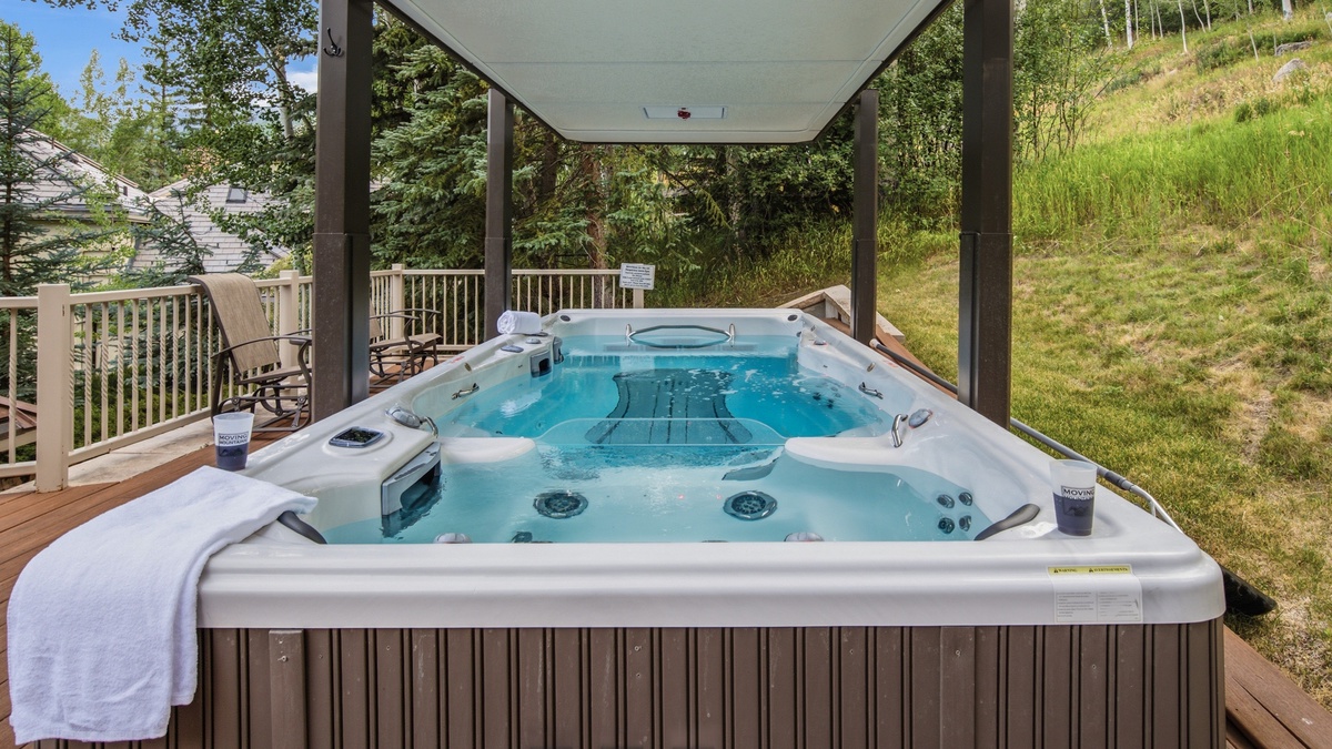 SwimSpa in back yard