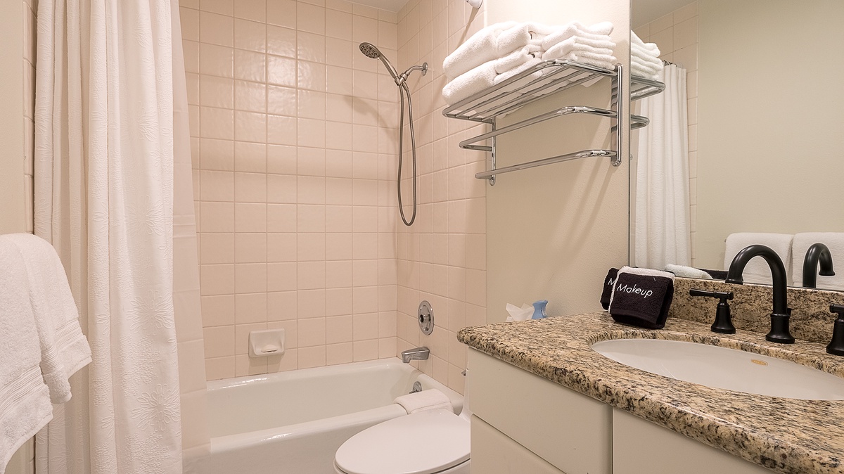 Bedroom 4, Main Level - Apartment ensuite