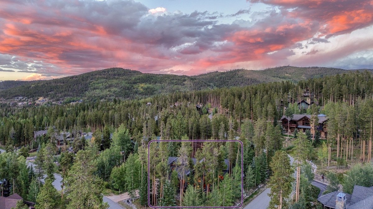 Exterior - Aerial view surrounded by trees