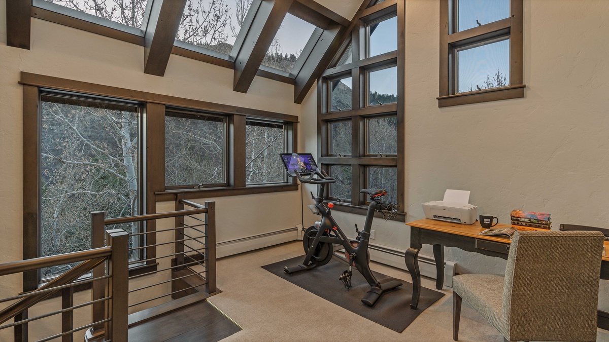 Loft level via spiral staircase leads to office space, more views, and a Peloton!