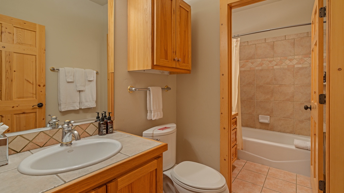 Shared hall bath on lower level