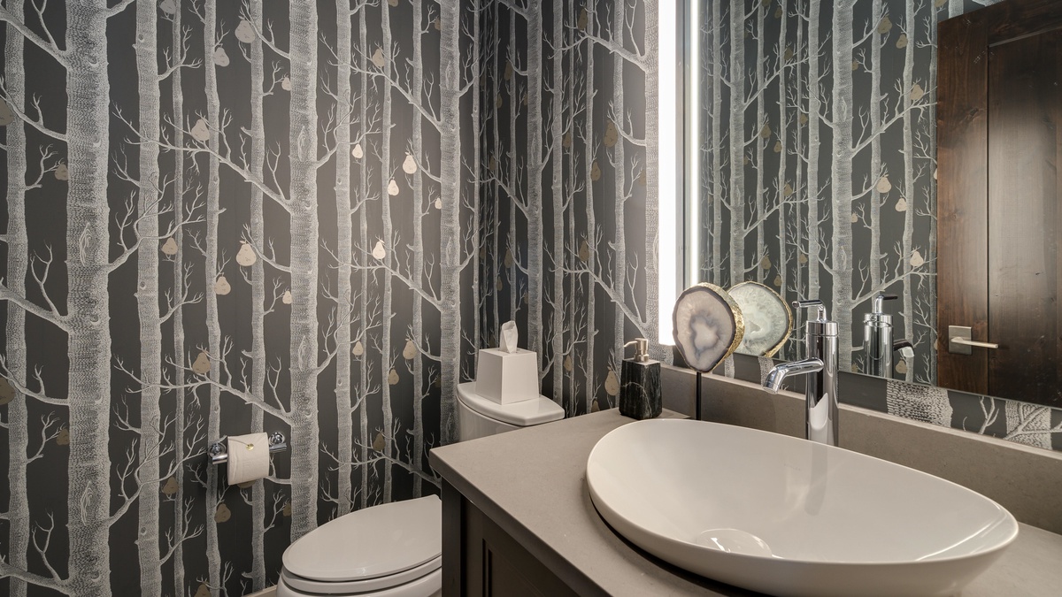 Powder bathroom, Lower Level