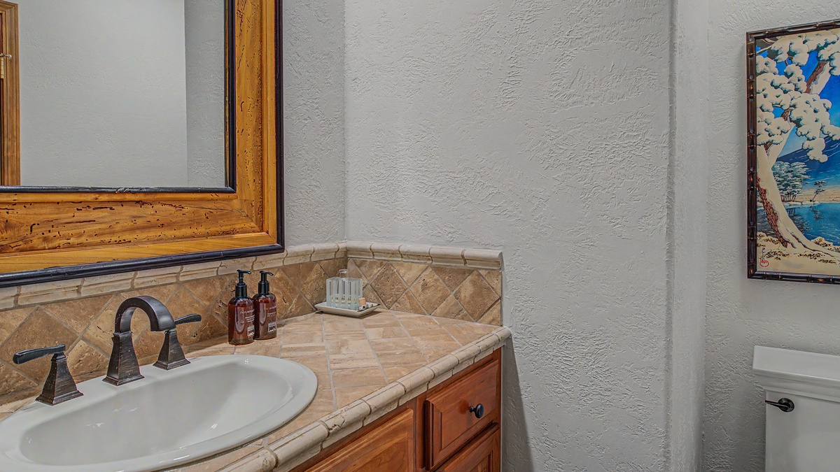 Powder Room, Main Level - Vanity and toilet