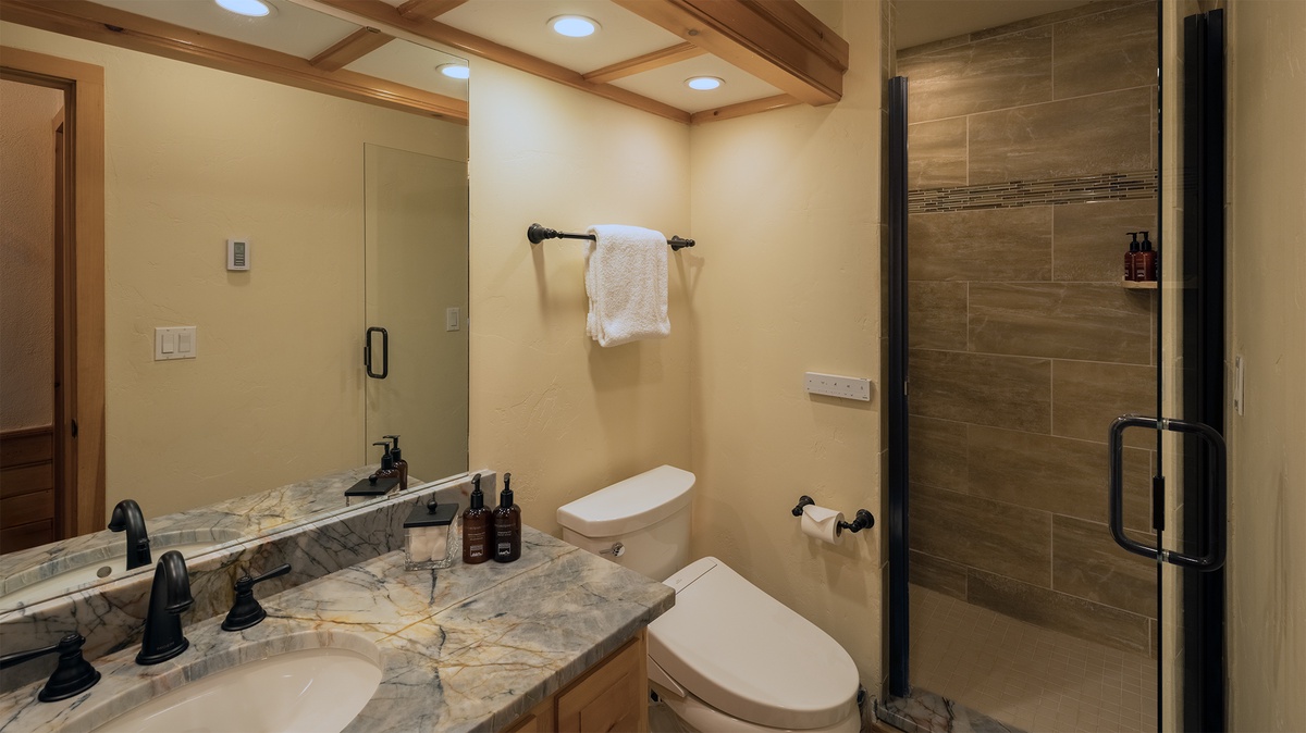 Shared Bathroom, Main Level - Hall bathroom with single vanity and walk-in shower