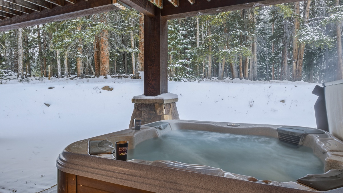 Hot tub, Lower Level