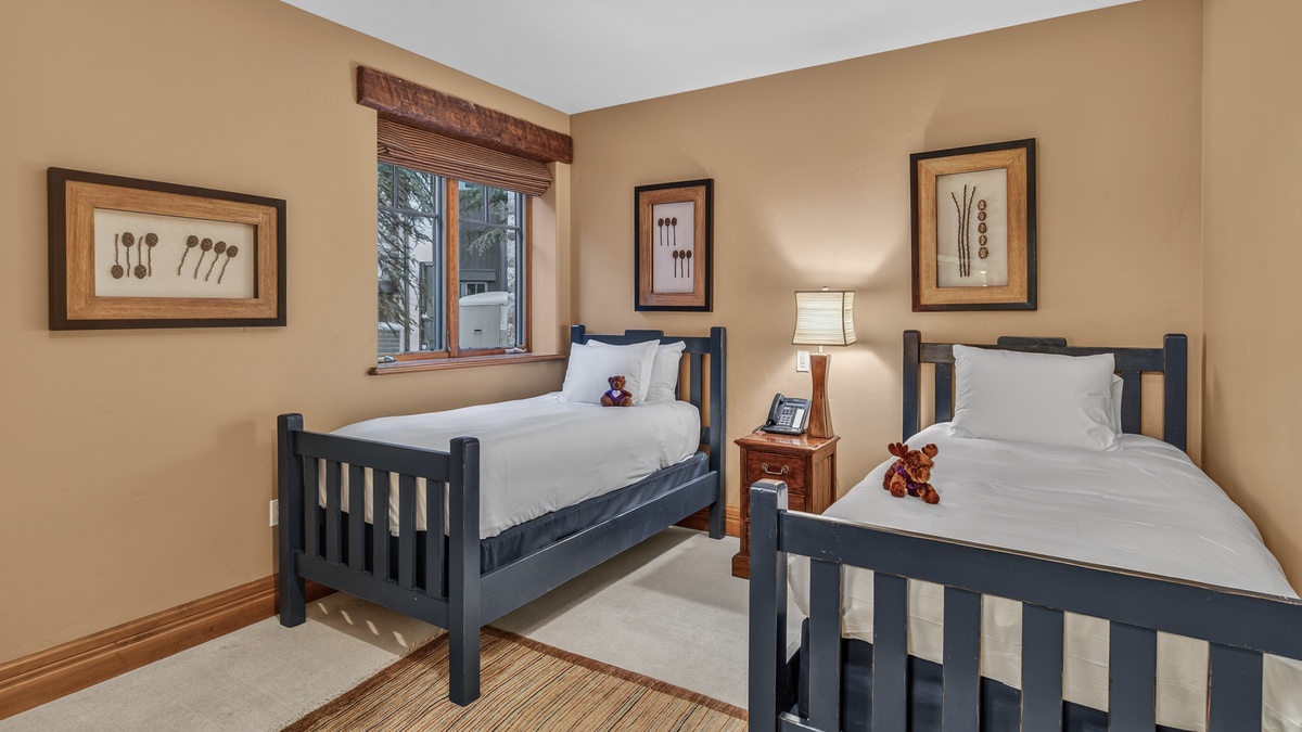 Bedroom 2, Lower Level - 2 twin beds