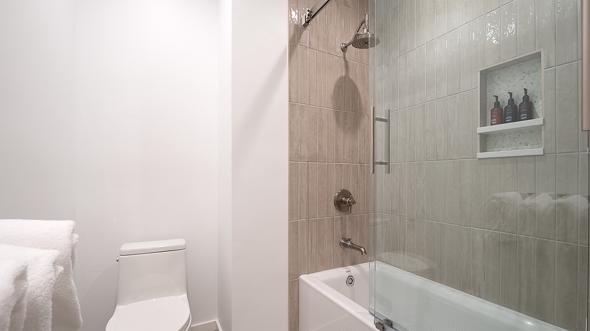 Bathroom 5, Lower Level - Tub-shower combo