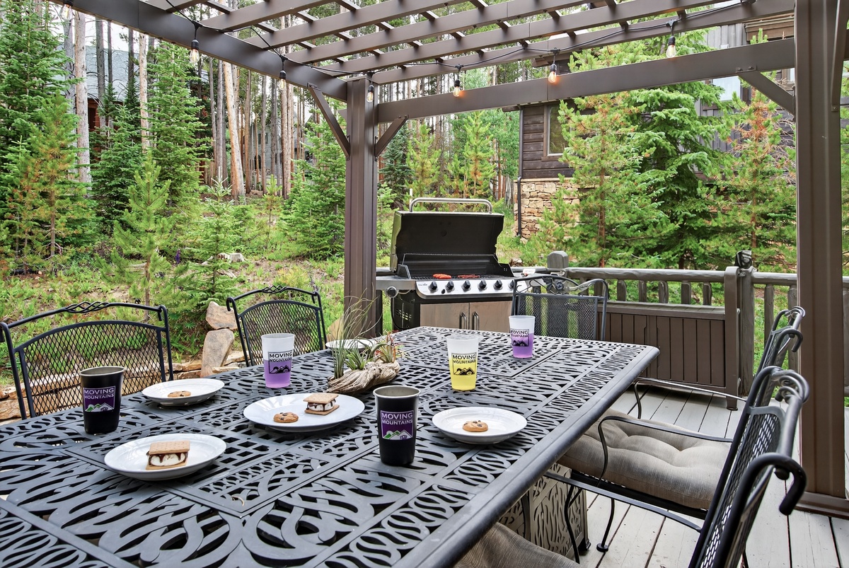 Patio Dining Table and BBQ