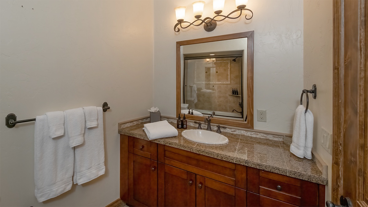 Lower level Hall Bath