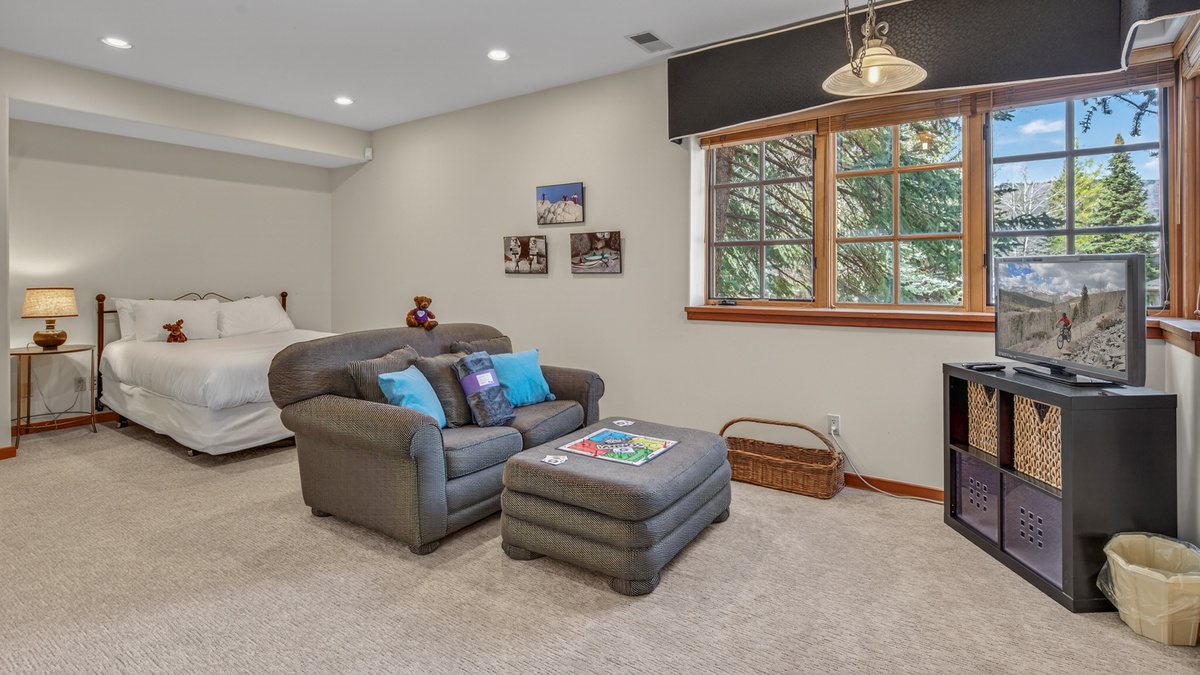 Bedroom 5, Lower Level - Seating area with TV