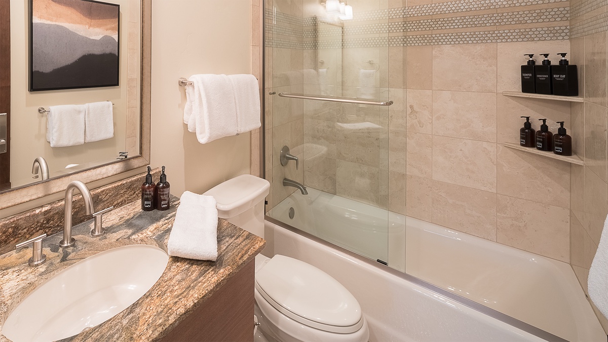 Shared Bathroom, Lower Level - Hall bath