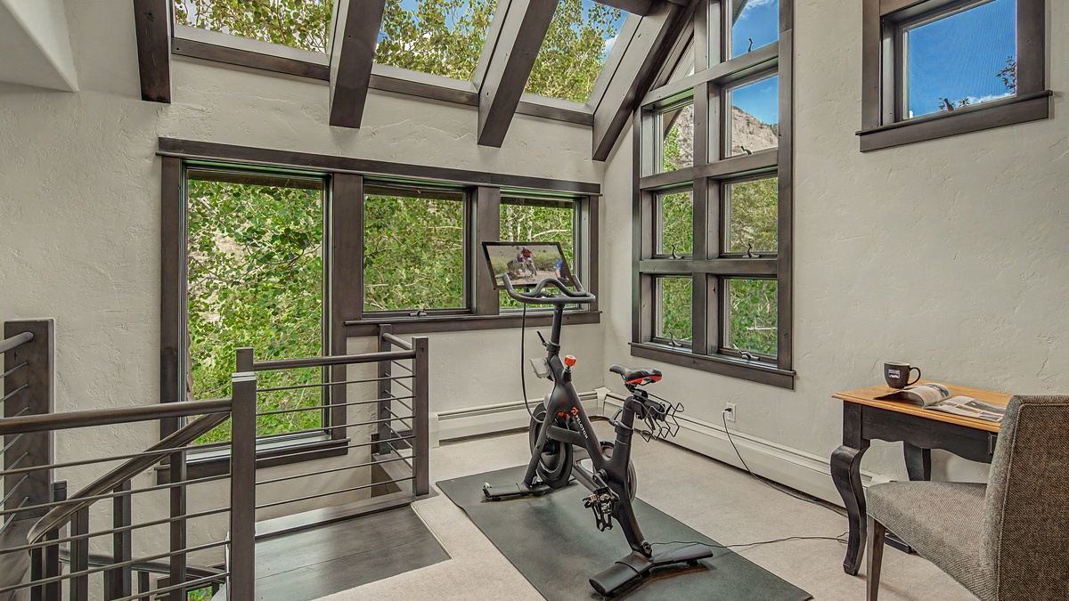 Loft, Uppermost Level - Peloton bike and desk area