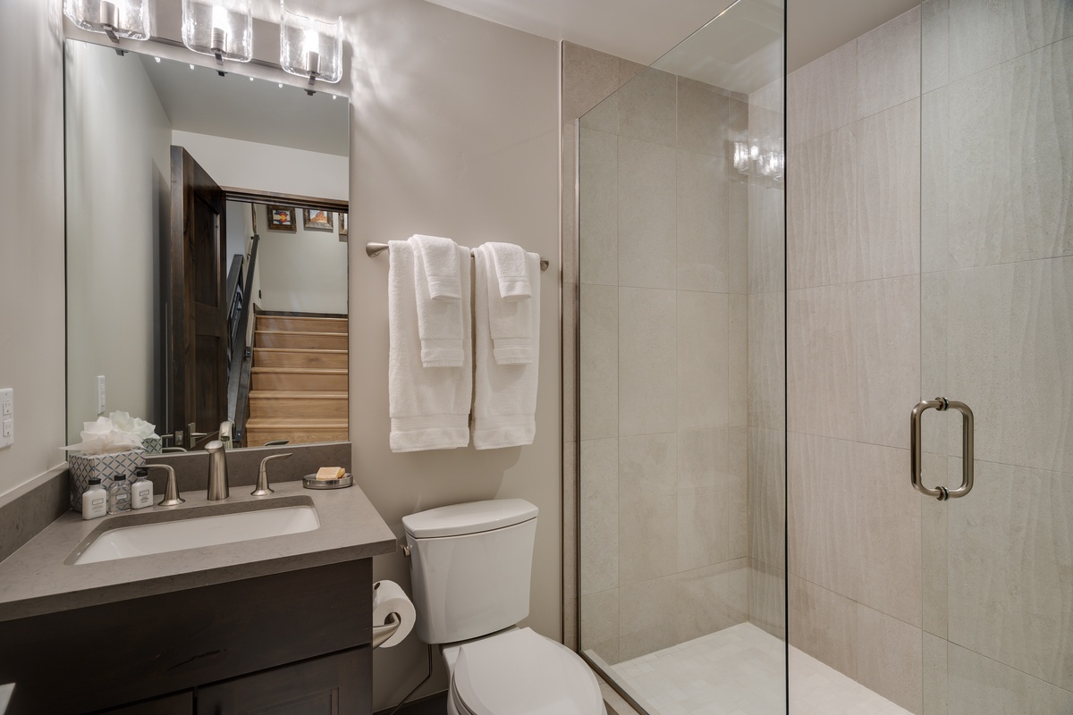 Lower level hall bathroom