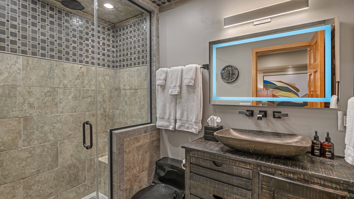 Lower level hall bathroom