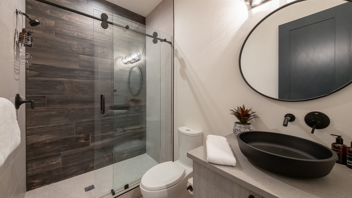 Shared Bathroom, Lower Level - Hall bathroom